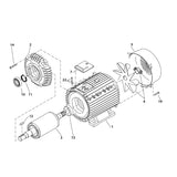 KRANZLE Motor Complete Without Switch