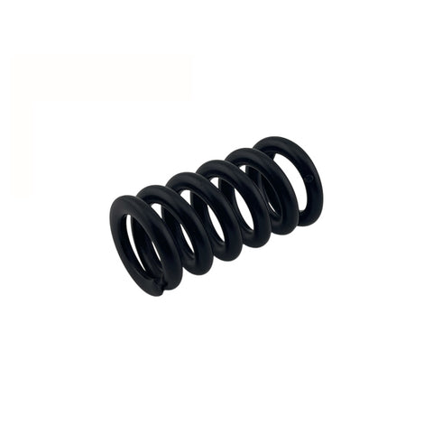 KRANZLE Pressure Spring (each) 43046