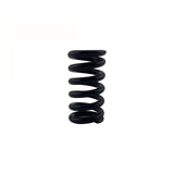 KRANZLE Pressure Spring (each) 43046