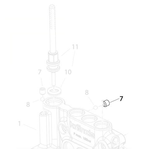 KRANZLE Sealing Plug 497015
