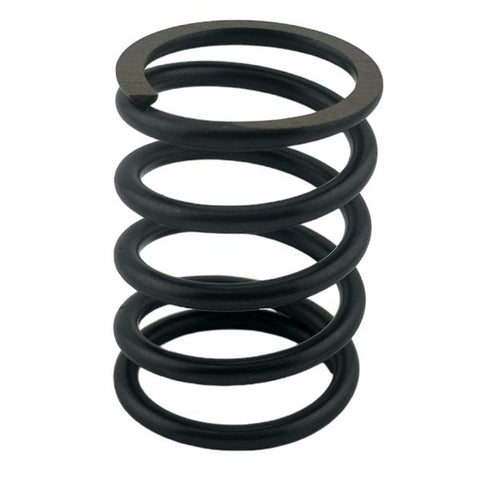 Main Piston Plunger Spring 14mm 43040